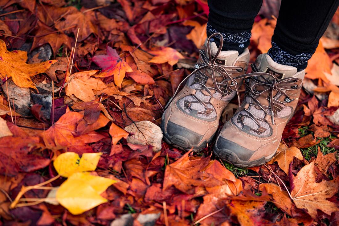 Colorful fall leaves fallen from trees with two feet wearing hiking boots.